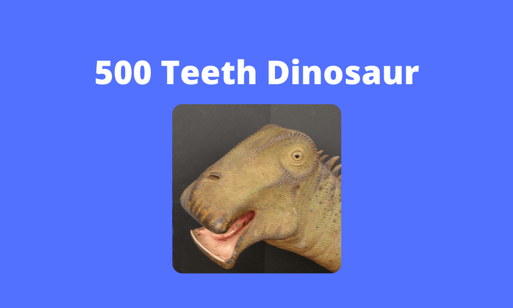 What Dinosaur Has 500 Teeth? Discover The Top 9 Dinosaurs With The Highest Tooth Count 